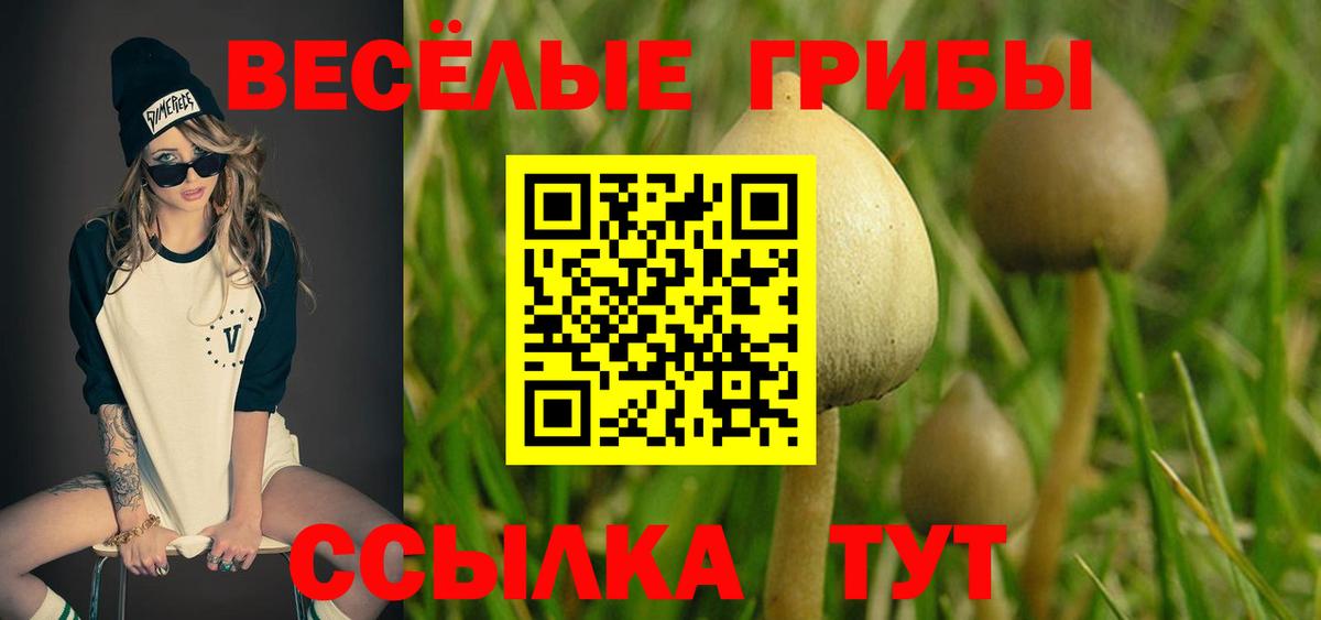 Галлюциногенные грибы Psilocybine cubensis Армавир