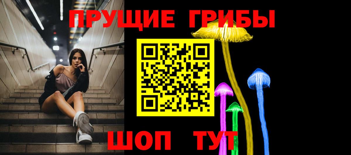 Галлюциногенные грибы Psilocybine cubensis  Вход с VPN  Галлюциногенные грибы Psilocybe  Армавир 